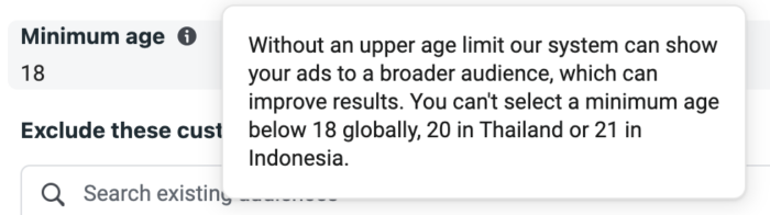 Advantage+ Audience Age